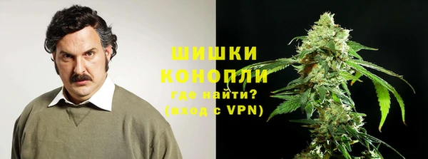 PSILOCYBIN Абаза