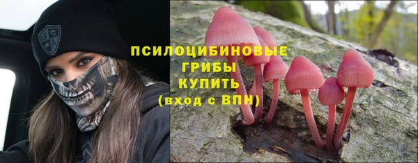 сатива Абдулино