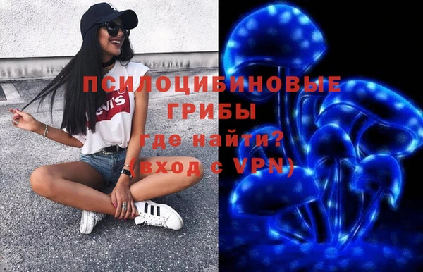 ПСИЛОЦИБИНОВЫЕ ГРИБЫ Абинск