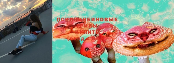 сатива Абдулино
