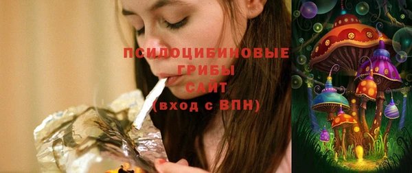 PSILOCYBIN Абаза
