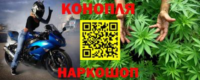 spice Рыбинск