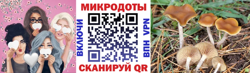 Псилоцибиновые грибы MAGIC MUSHROOMS Татарск