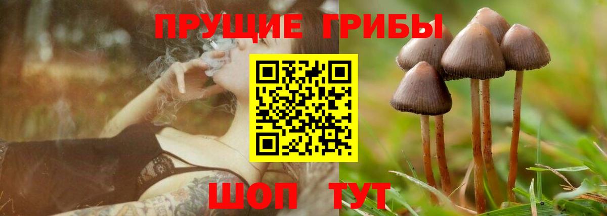 Псилоцибиновые грибы Cubensis  Вход с VPN  Псилоцибиновые грибы Psilocybe  Татарск 
